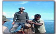 Saltwater Fishing India